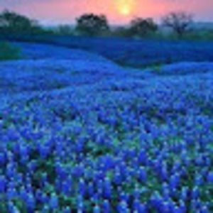 Meet your Posher, Debi g